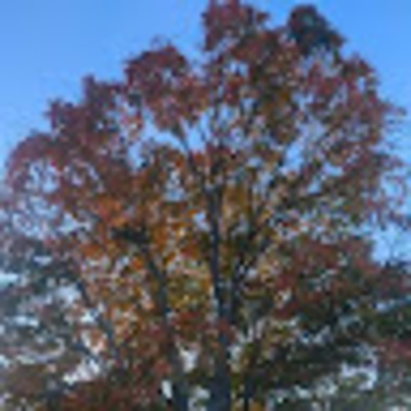 Meet your Posher, Katherine - Picture 1 of 1